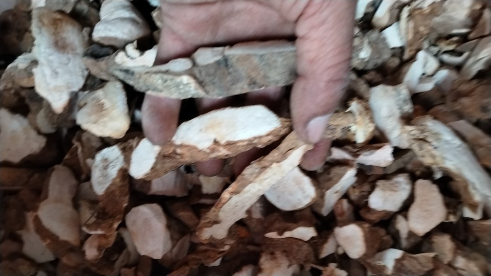 Dried Smilax Glabra Slices Tu Fu Ling 500g Hunan Starchy Rhizome for Tea and Soup overview