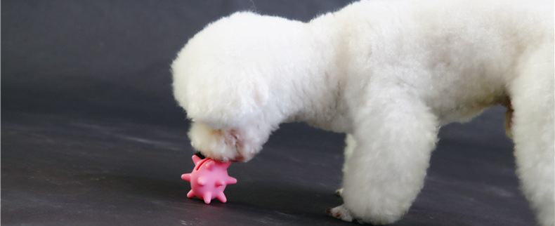 O1CN01IP8LX827HdAfk5iIC_!!962497772-0-cib.jpg?__r__=1713344844908