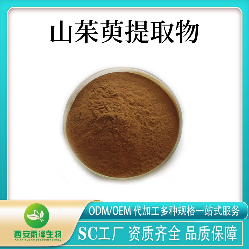 山茱萸提取物 粉 提取 水溶粉 喷雾干燥 现货供应水溶性植物