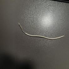 [SֱN]늟̺늟ӟñlᾀ