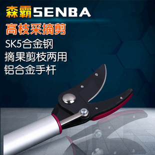 �����֦���^�� �߿����L��ժ��֦�� �@���޼�ժ����֦������֦��
