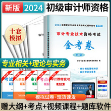 2024年初级审计师考试全真模拟试卷审计理论与实务+专业相关知识