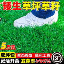 ��ƺ���Ѱ����ļ����N�ͺ��ͺ�߅���o�¹��������ݹ�������ƺ�N��