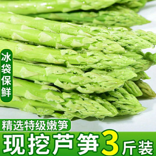 �F�ɬF�l�����r���J�S�߲˾G�J�Sȥ���ϸ��۹S���S��횲�