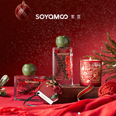 無火アロマセラピークリスマスお祝いお土産セットクリスマスフレグランスオーナメント長期持続ディフューザーアロマセラピーキャンドル