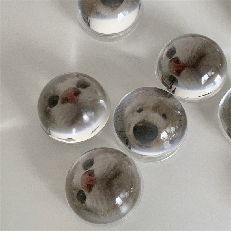 20g Weight Mobile Phone Universal Applicable Brands Airbag Bracket Classification Crystal Ball Material Animal Pattern Cute Style Animal Crystal Ball Cute Mobile Phone Universal Airbag Bracket 1