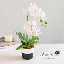 �ٻ��ɲ��ָк����m���ԼҾ��bzӰ���컨�Gֲ��c�������辰