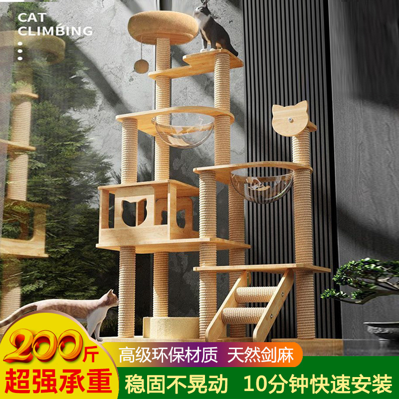 6ddb6198-637d-4bb0-b146-e8aeae0d295a.jpe