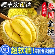 ������ɏ��S���]һ���������ɏ��̩�������rˮ�������M��