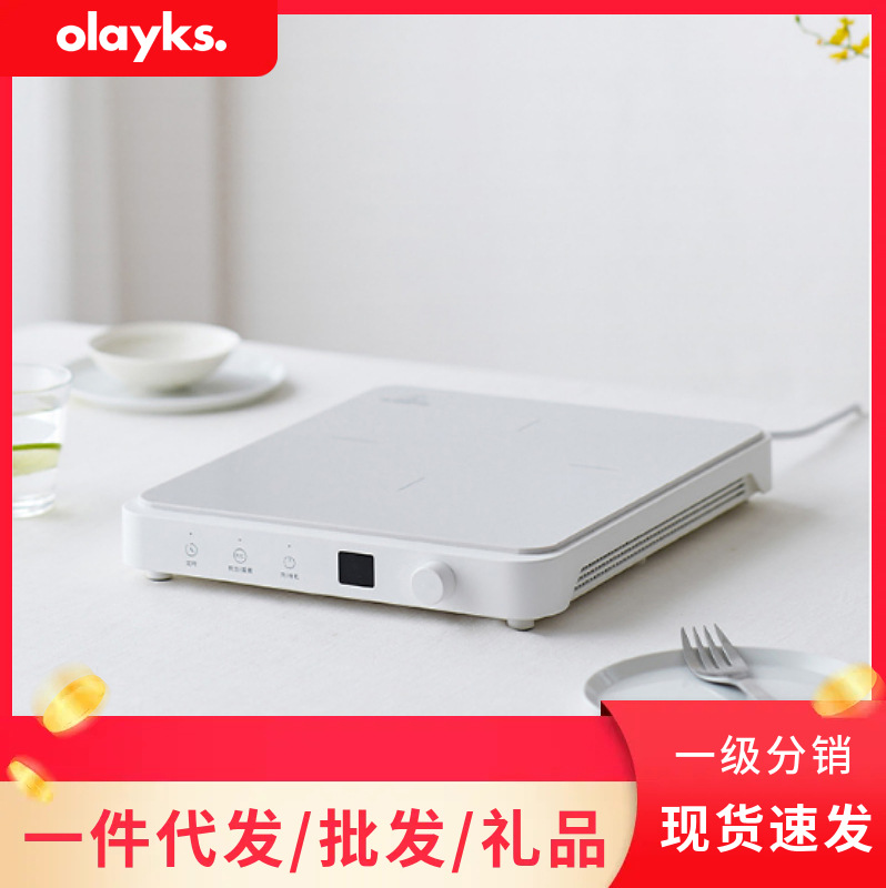 Olek Induction Cooker Olk-C01 Household High-Power Firepower Stir-Frying Multi-Functional Hot Pot Cooking All-In-One Electric Stove