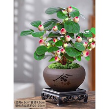 �ļ�������С��������辰�k���҃�ˮ����B�U�⻨��С�Gֲ������