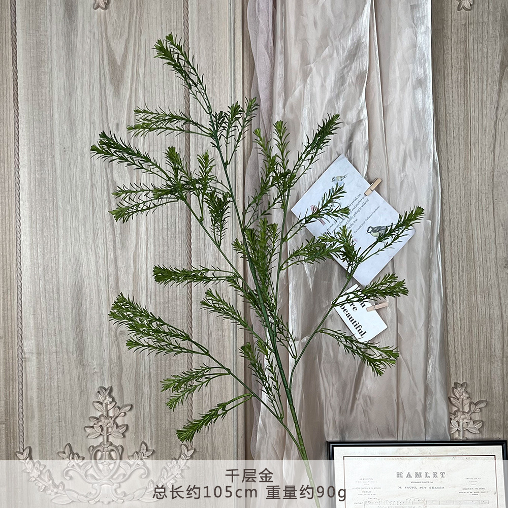 YM-천겹금-짙은 녹색