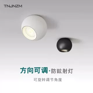 led明装射灯天花灯北欧创意客厅过道玄关吸顶筒灯可旋转轨道射灯