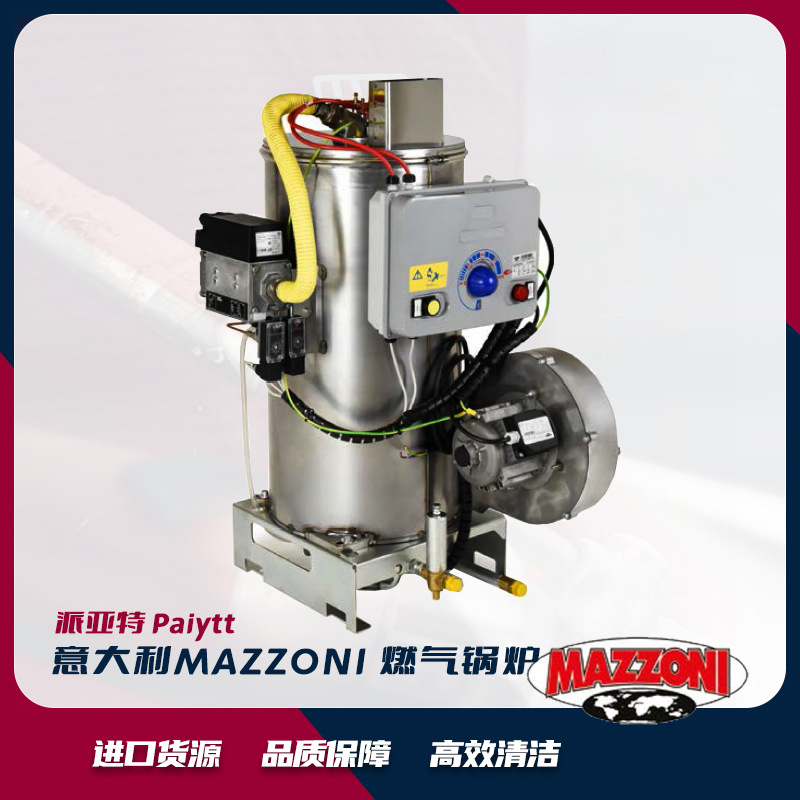 燃气锅炉 意大利进口MAZZONI  加热器 畜牧业清洗用 燃气加热