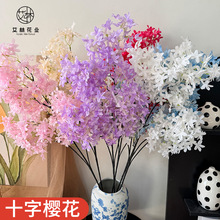 ʮ�֙ѻ������һ�Y���������赸�����bٻ��^��c��YӰҕ