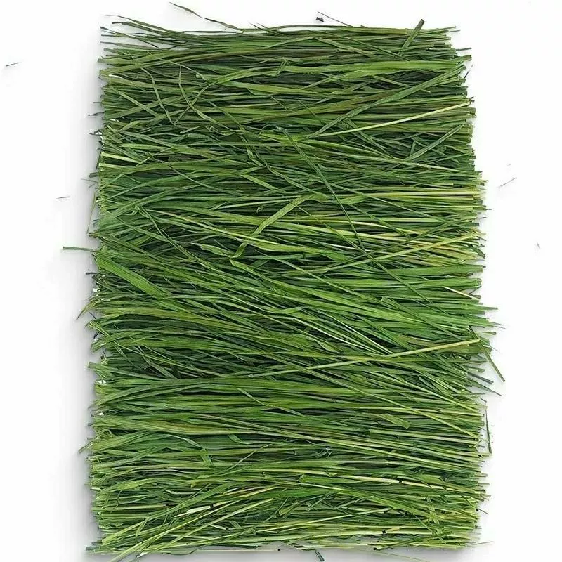 Сушеная тимофеевка Rabbit Rabbit Dry Grass оптовая поставка Timosi Grass Rabbit гранулы Dutch Pork высушивание Бесплатная доставка