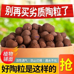 ������̼��ؓ�x�ӟo��ֲ��������ֲ������ˮ�໨���b|��