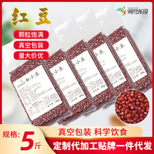 �ļ�����t��500g����b�F؛������s�Z�����tС���S��Դ�^���l