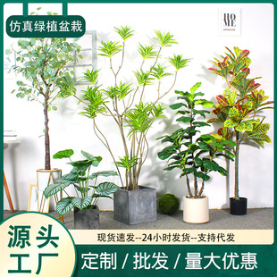 �Ҿӷ���Gֲ�����ȼ������X�䙎�ʘ�Gֲ�쾰�Ž��������Ѫ��