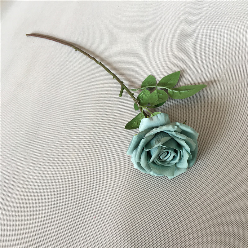 밝은 녹색