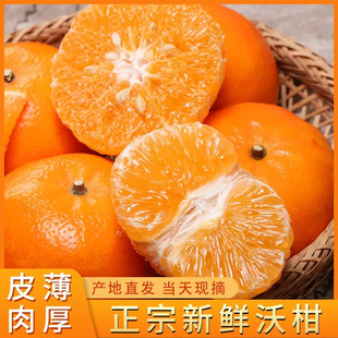 �������Q�ָ����r���ӑ������ЋDˮ������Fժ����̽��ӻʵ�ɰ��