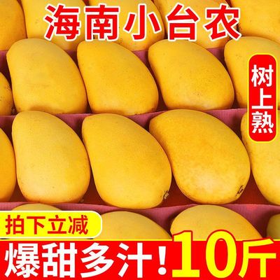 Mango Fragrant and sweet Hainan Tropical fresh pregnant woman Season fruit Odai wholesale Manufactor