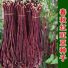 tNLϼtǷNݸ߮aļ͟ΌN