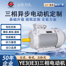 YE3三相异步电动机3/4/5.5/7.5KW大功率电机特殊端盖定制