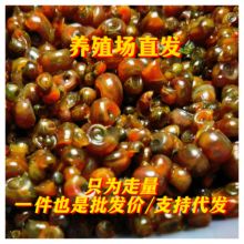 ȫ�t�O�����^�p�ݹ��߳������S���ݹ��^����������坍����Ĥ΁ţ