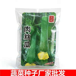 ���ߴ�9-12cm���m����z�ϷN���ѷN�߲˷N�ӏS��ֱ�N�z�ϷN��