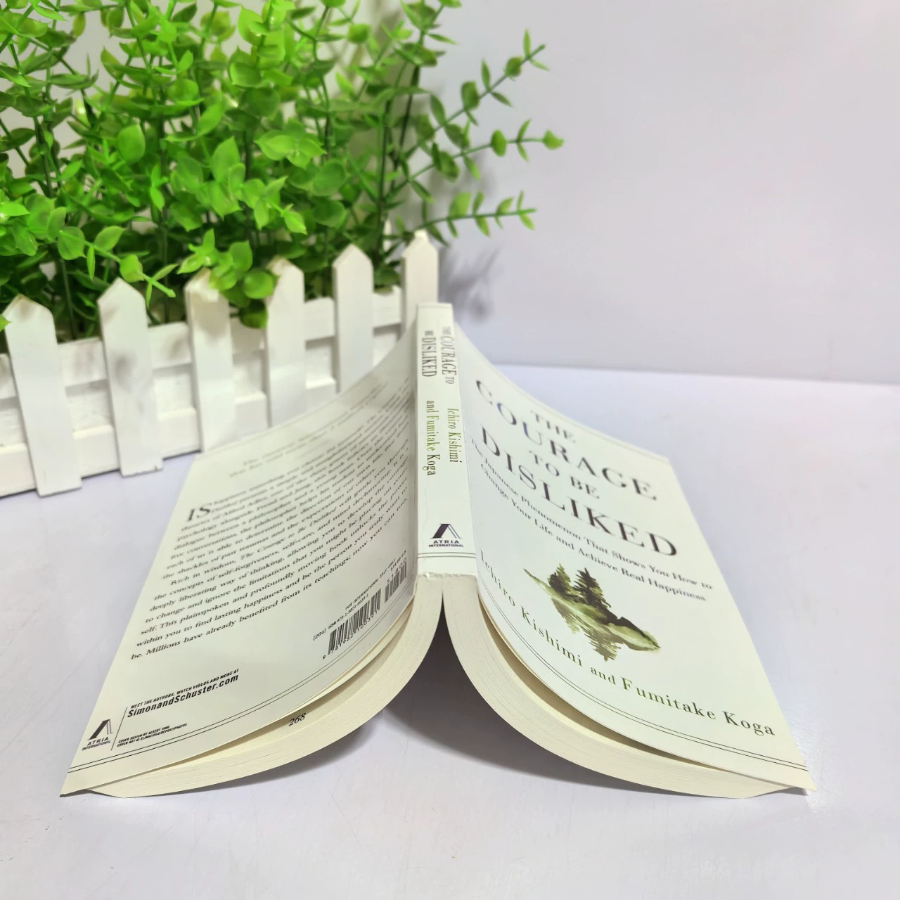 Смелость к подсчёту быть нелюбимым Англ версия бумажной книги