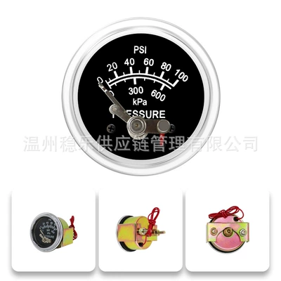 Instrument, automobile instrument