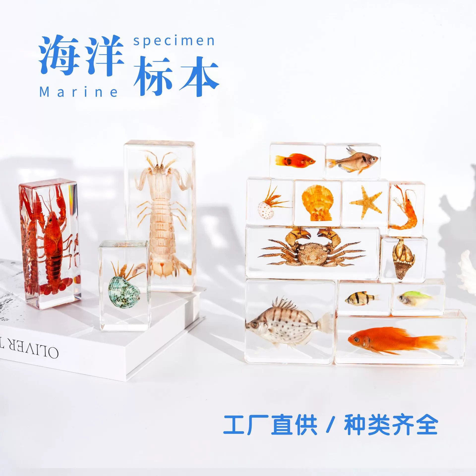 开学市集海洋标本螃蟹章鱼树脂工艺品盲盒同款创意摆件文创礼品