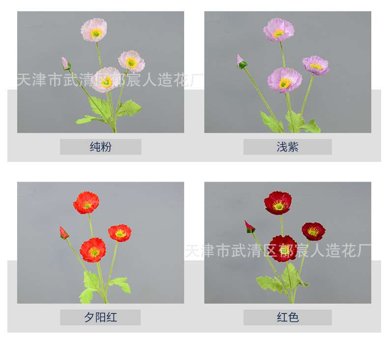 详情_03.jpg