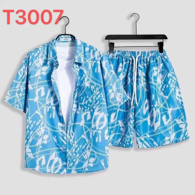T3007