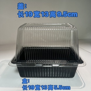 Sprout Planting Box, Sprout Box, Planting Box, Pea Box, Black Bean Box, Soybean Box, Seedling Box, Colorful Sprouts