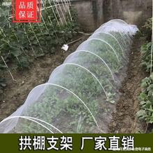 拱棚小支架蔬菜棚棚架简易专业水果苗圃家用小棚花棚菜园育苗