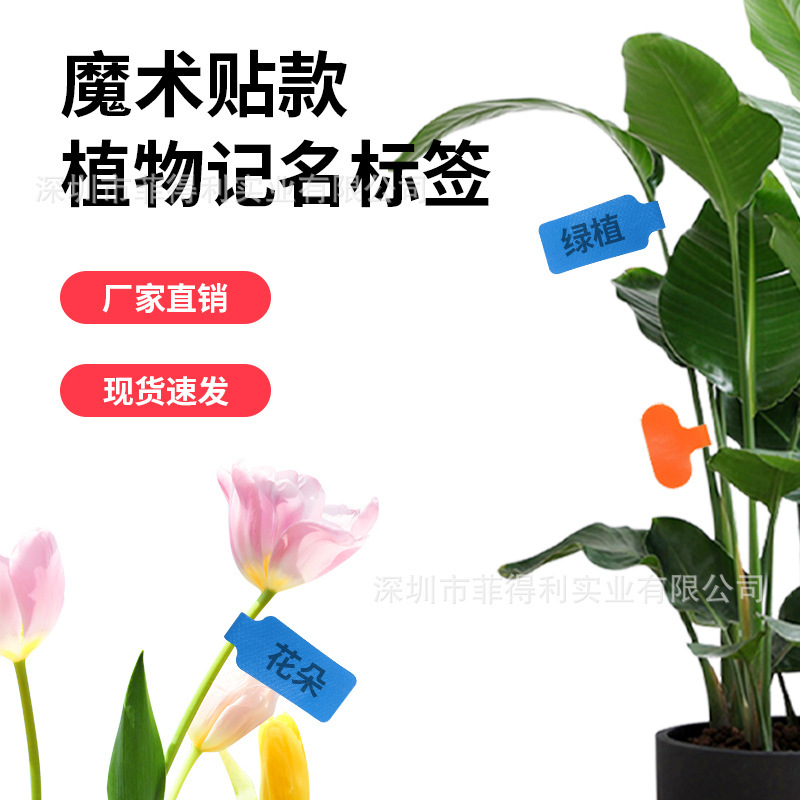 Fidley Color Plant Velcro Green Plant Seedling Classification Label Index Label Paper Handwritten Mark Buckle