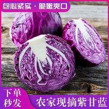 �����ϸ��{���r�߲��ϰ�����ɫ����������߲�ɳ��