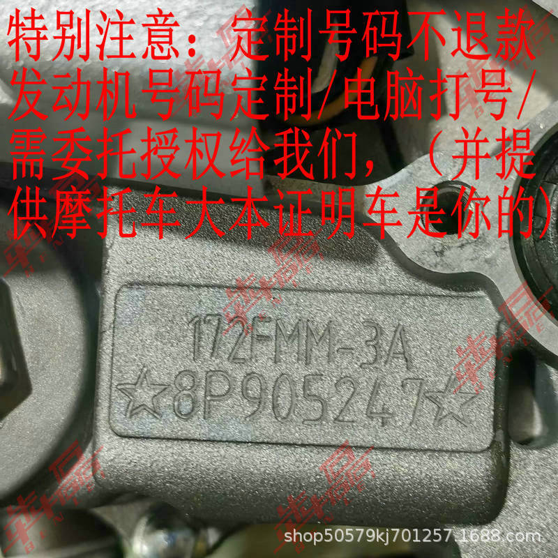 Jiangsu Zongshen Same Model Weifeng 200250300350 Dual Cooling Jiangsu Three-Wheel Motorcycle Heavy-Duty Engine Assembly
