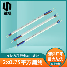 2&times;0.75ƽ���⾀С����Դ����о�o�׾��͸ߜع��z���pо��Ӿ�