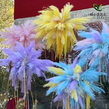 �����JȔ����ë�����廨�Ҿ��b������c��ȸ�ݷ��柟���JȔ��ë