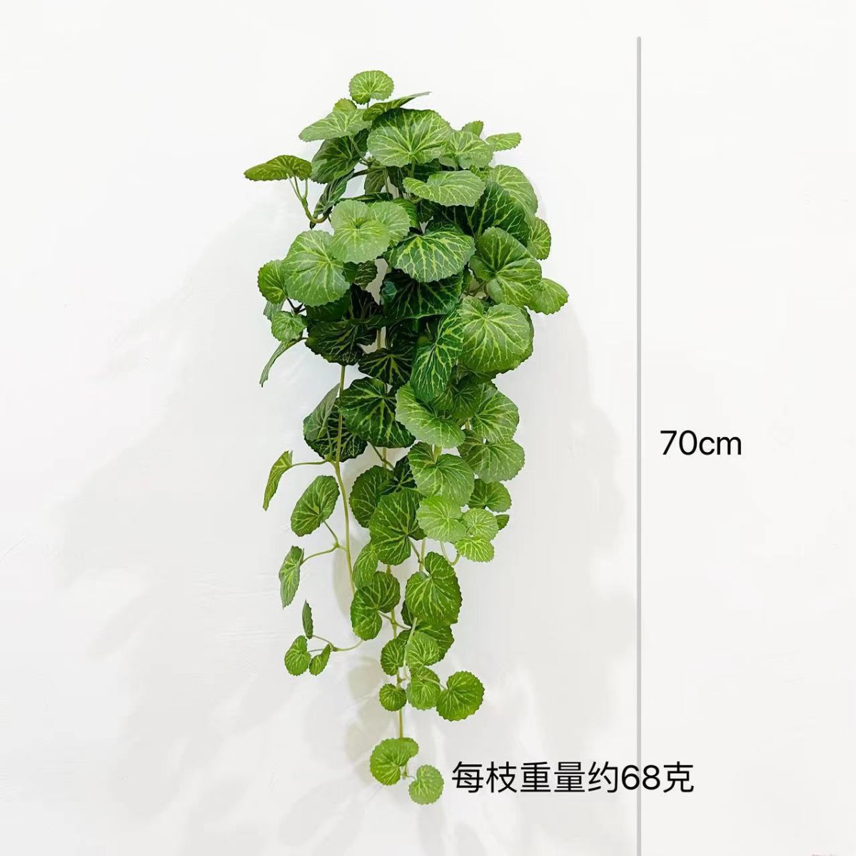 70cm 베고니아 벽 매달려 [녹색]]