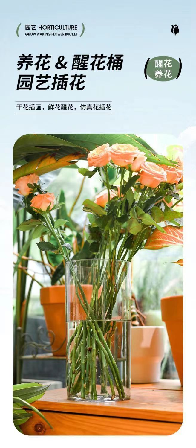 46da11e2-6041-4327-8d2c-2b3a8ecf3090.jpe