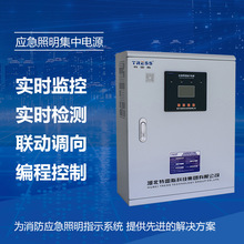 智能疏散消防指示立柜式壁挂式应急照明主机集中电源应急照明A型