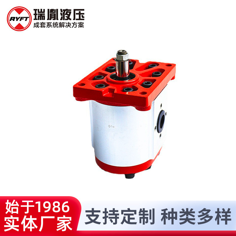 厂家销售瑞胤外啮合齿轮泵机械齿轮泵液压齿轮马达批发