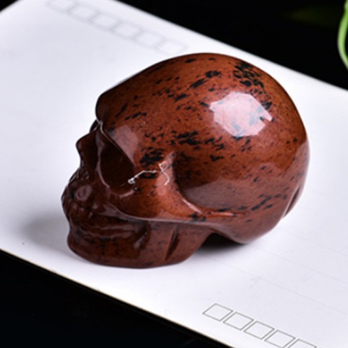 황금 백조 두개골