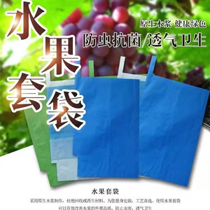 [现货葡萄袋果树果实袋三色葡萄育果袋水果套袋果袋葡萄套袋专用]