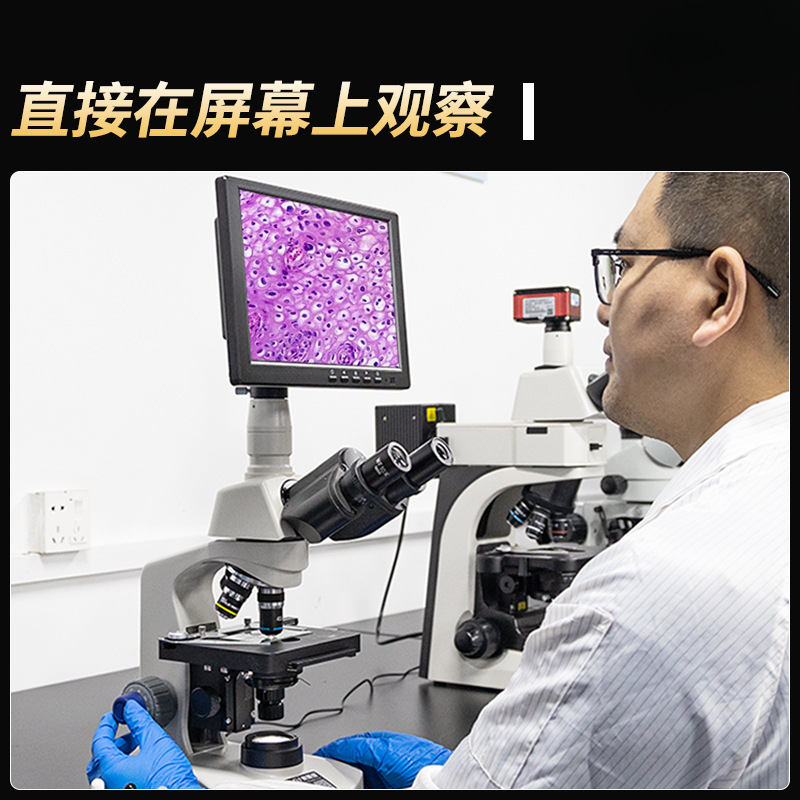 奥斯微生物显微镜专业看细菌XSP-H1600高清高倍2000倍生物实验室