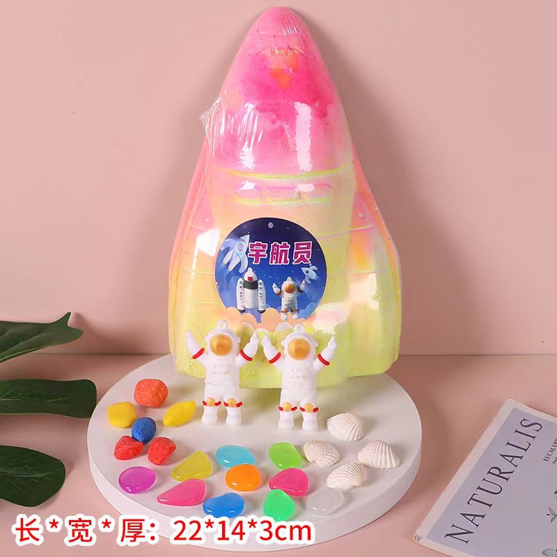 우주 비행사 항공기